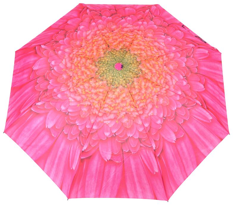 

Fabseasons Free Size Umbrellas - Multi