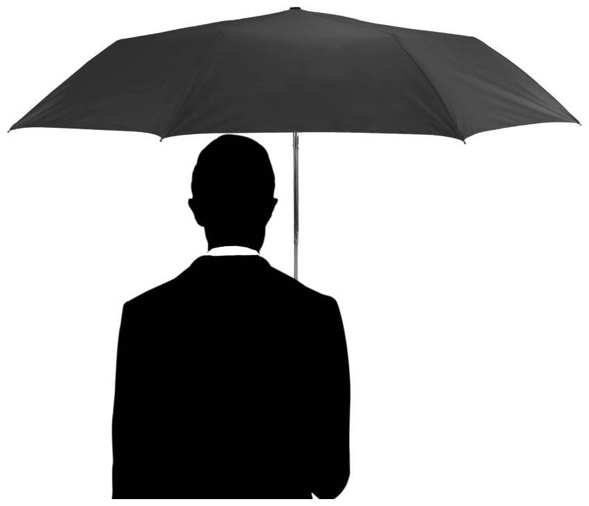 

Fold Auto Open Black Color Umbrella (Black)