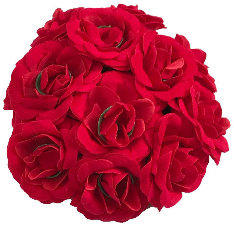 

GADINFASHION Women Hair accessory set ( Red Set of 1 )