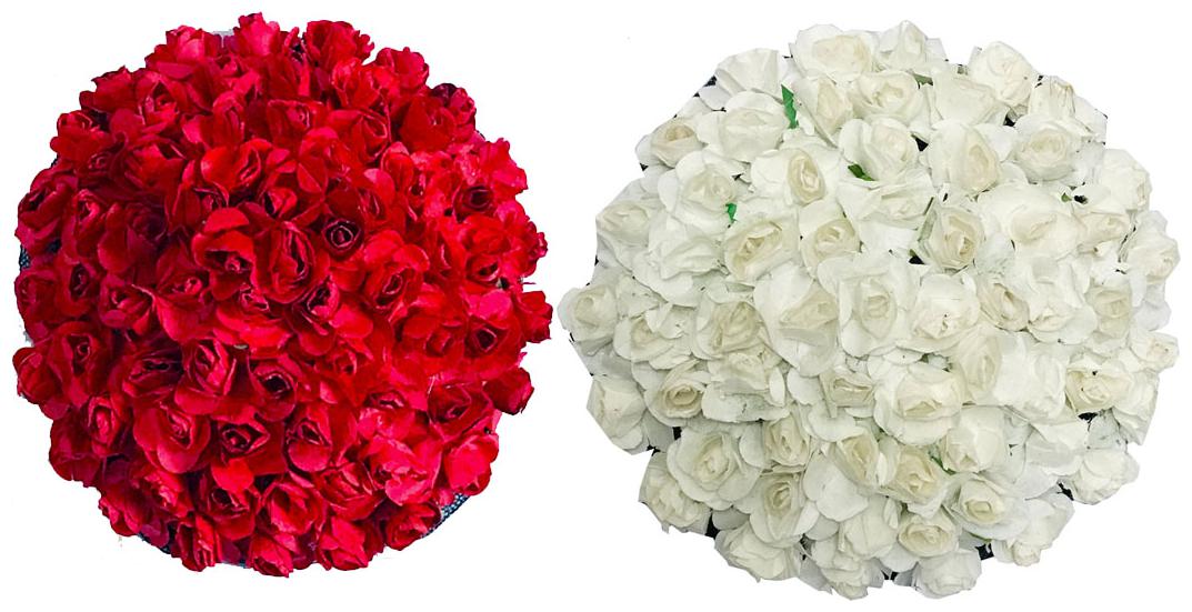 

GADINFASHION Women Hair accessory set ( White Red Set of 2 )