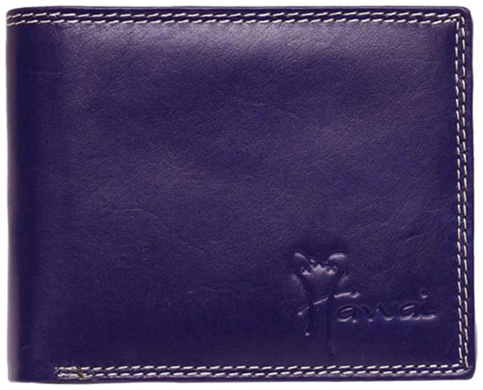 

Hawai Chic Blue Spacious Men S Wallet