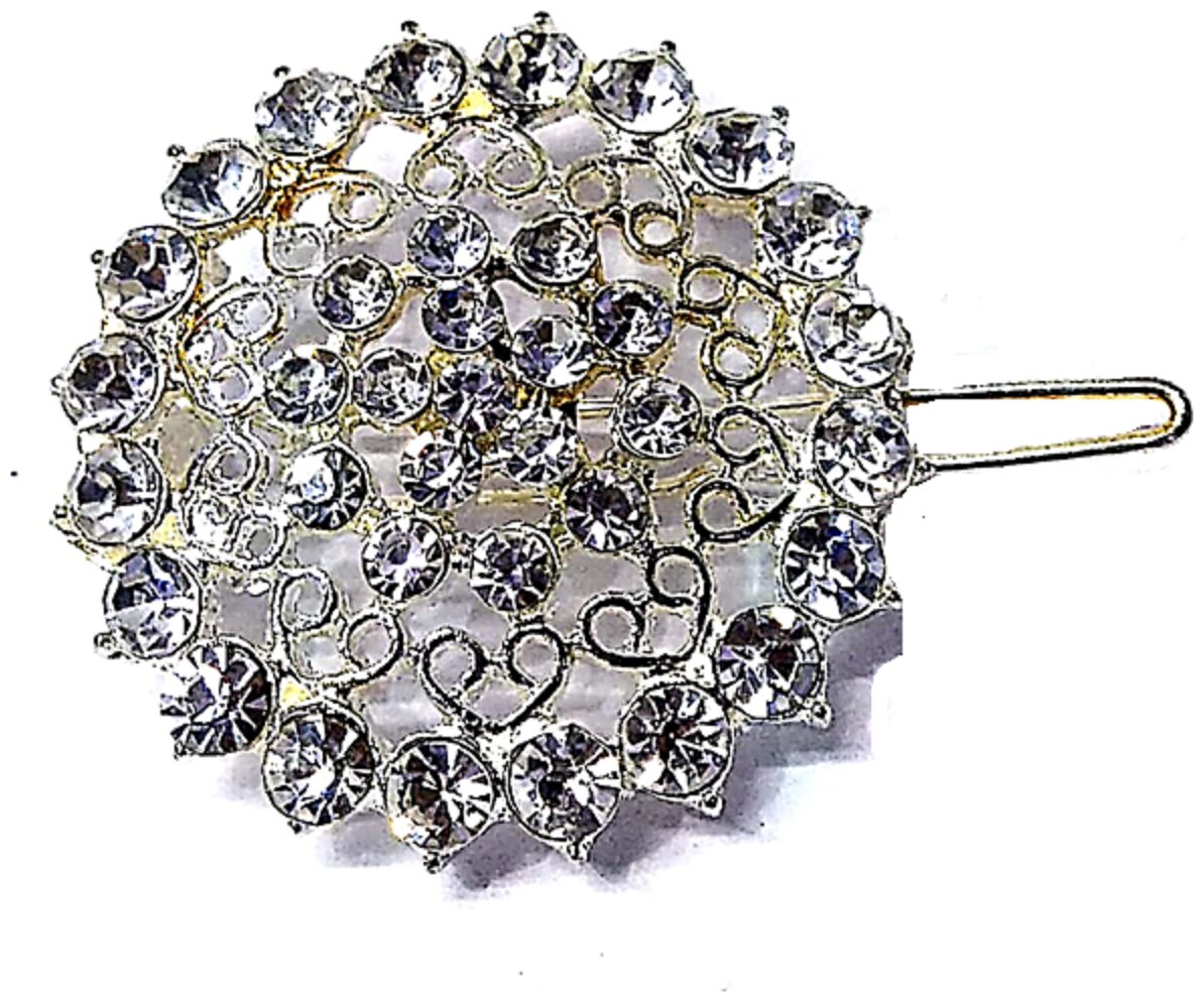 

PROPLADY Women Hair clip ( Silver Set of 1 )