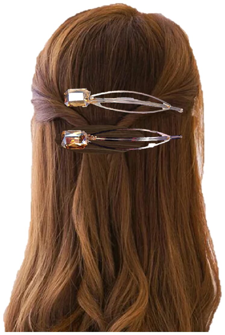 

PROPLADY Women Hair clip ( Brown Set of 1 )