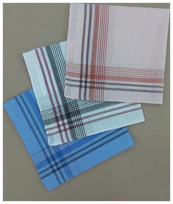 

Rumal Gents Cotton Hanky Regular Handkerchief (Pack of 3)