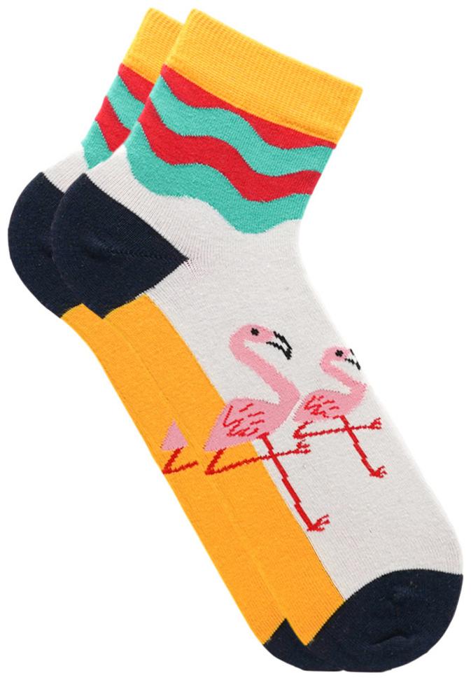 

Soxytoes Multi Cotton Ankle length socks ( Pack of 1 )