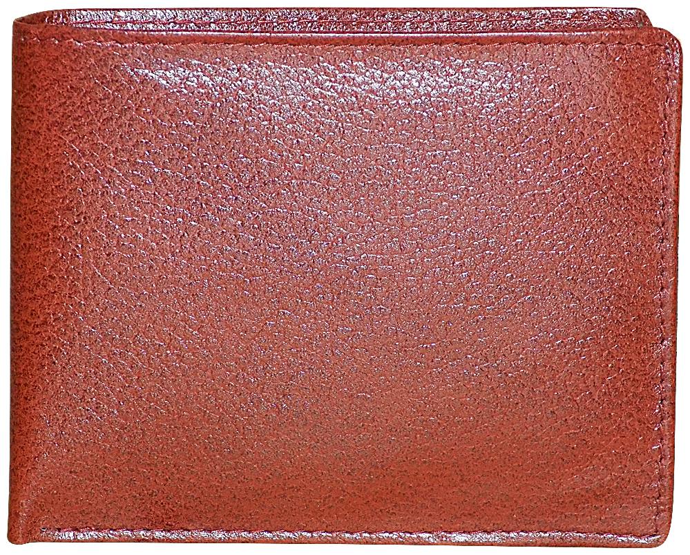 

STYLE SHOES 98 Men Brown Leather Bi-Fold Wallet ( Pack of 1 )