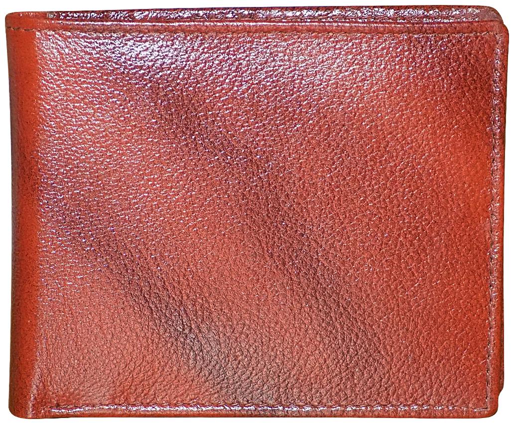

STYLE SHOES 98 Men Brown Leather Bi-Fold Wallet ( Pack of 1 )