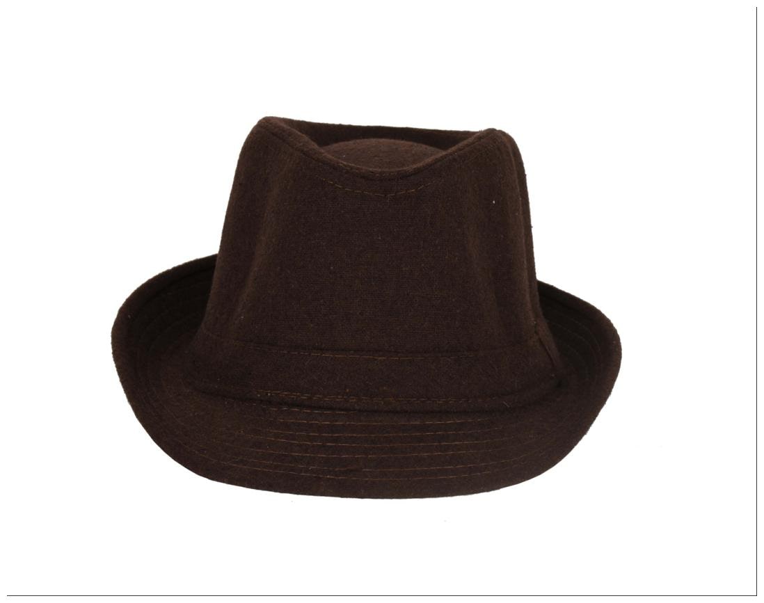 

Tiekart-Men Brown Plain Solids Wollen Hat
