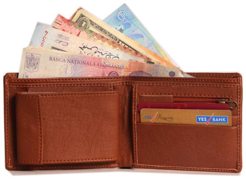 

WILDLAND Men Tan Pu Bi-Fold Wallet ( Pack of 1 )