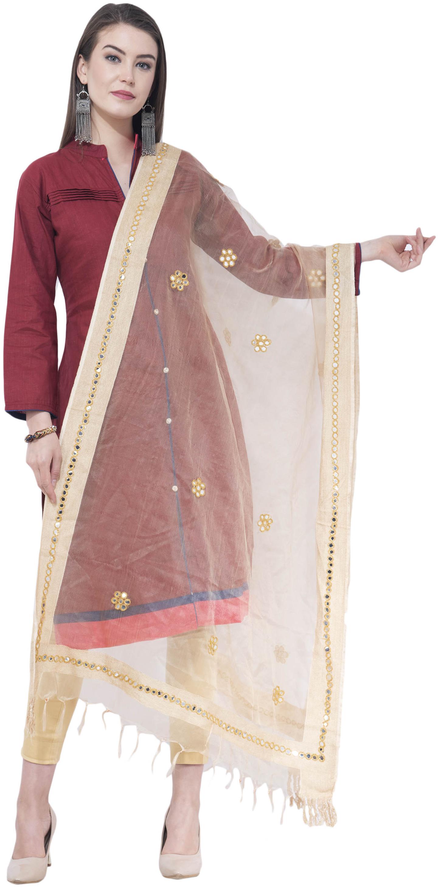 

A R SILK Blended Mix Match Beige Dupatta