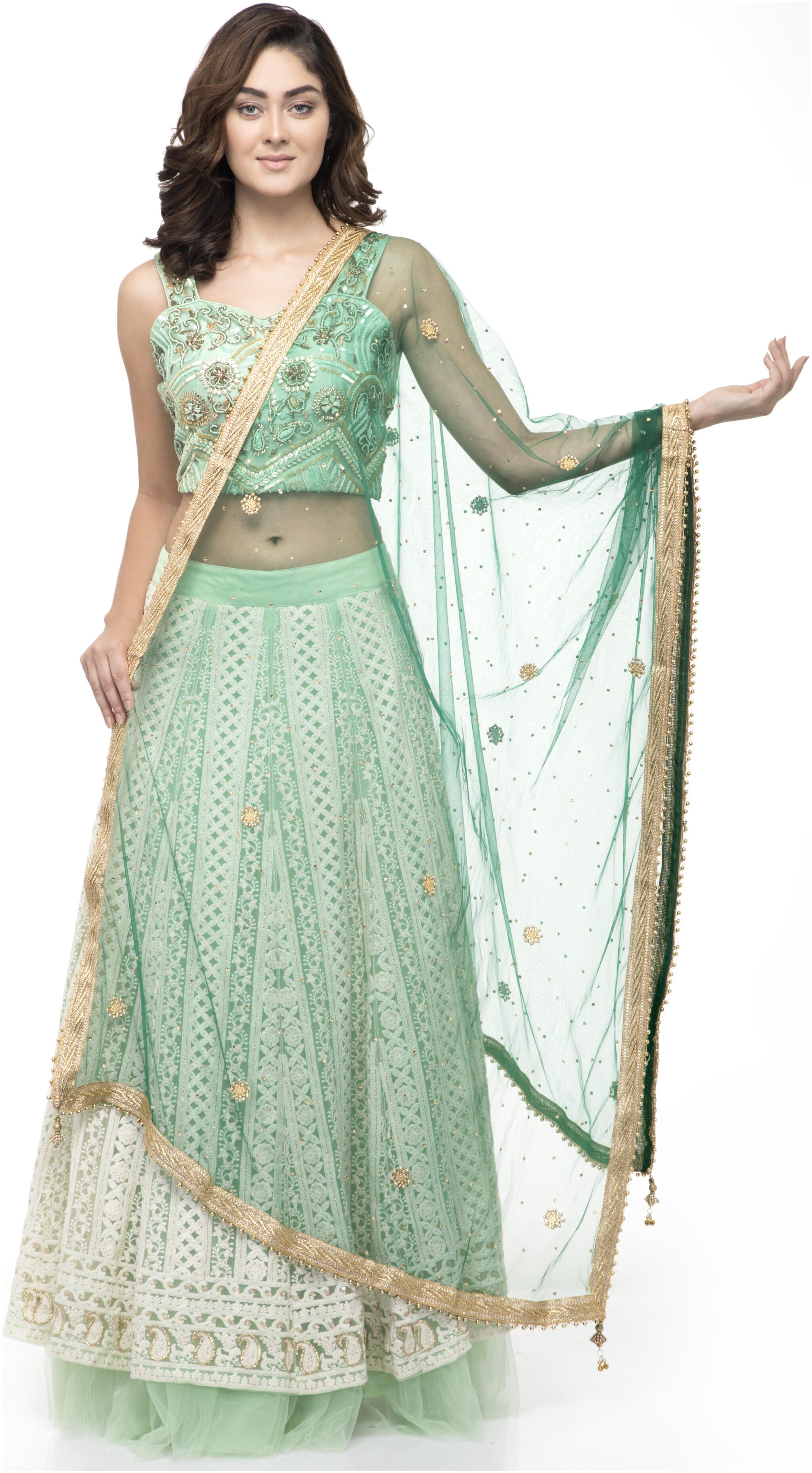 

A R SILK Women Net Embellished Dupatta Green