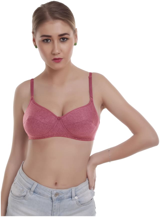 Alishan Casual Melange Soft Women Padded Bras