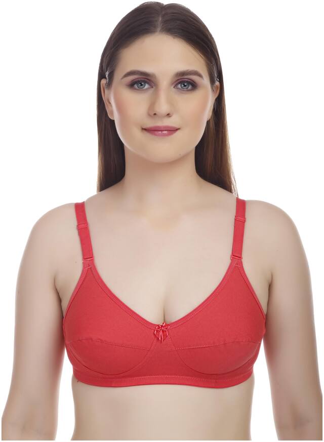 Alishan Non Padded Cotton T Shirt Bra - Red
