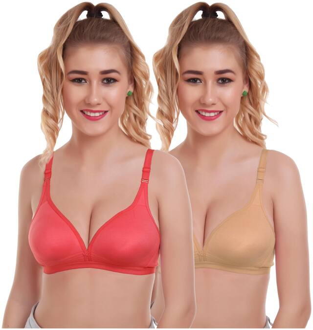 Alishan Set Of 2 Designer Lightly Padded Women T-Shirt Bras Multi Color
