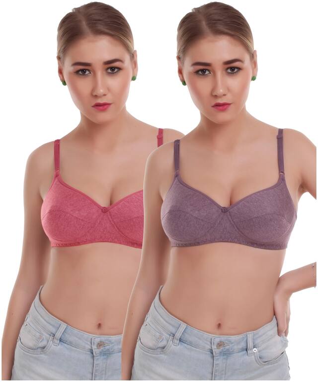 Alishan Set Of 2 Casual Melange Soft Women Padded Bras