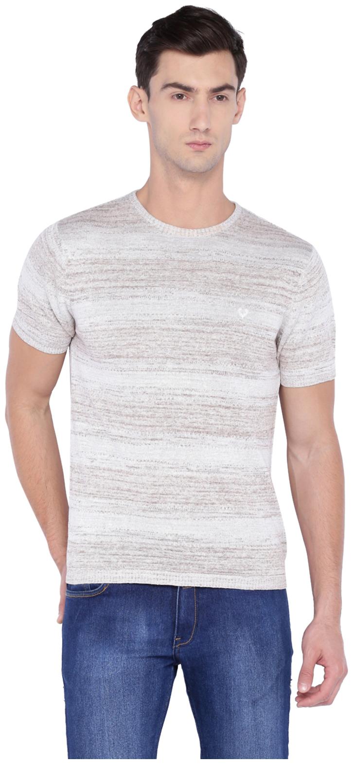 

Allen Solly Men White Slim fit Cotton Blend Round neck T-Shirt - Pack Of 1