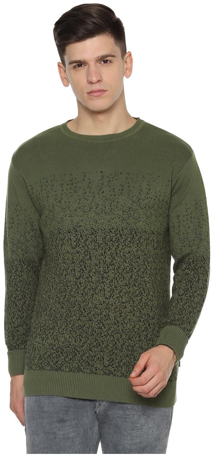 

Allen Solly Men Green Round neck Pullover