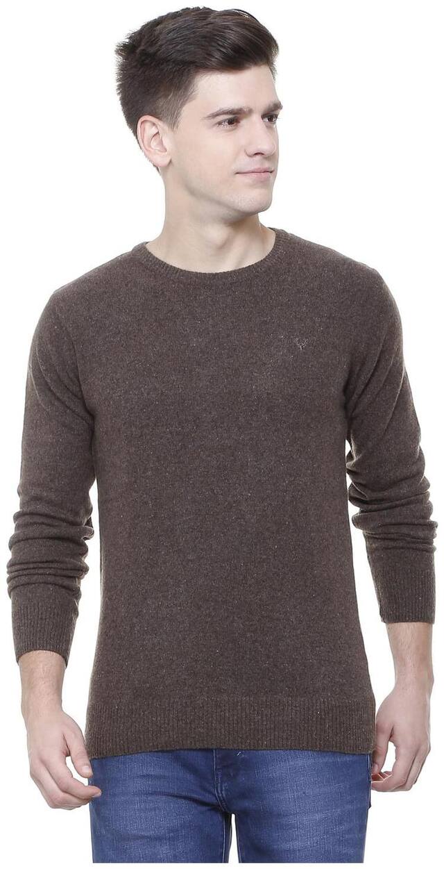 Allen Solly Men Brown Round neck Pullover
