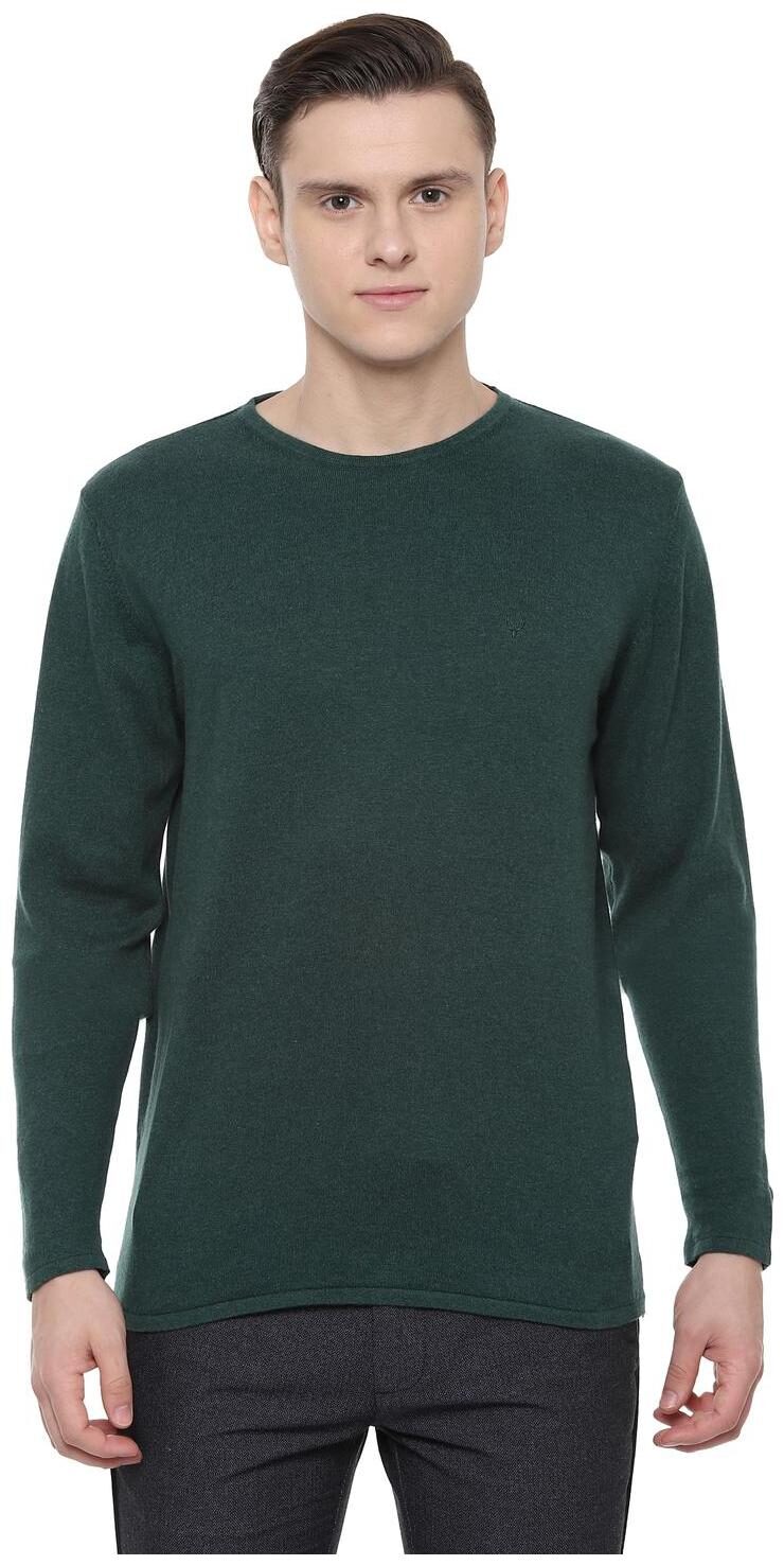 

Allen Solly Men Green Round neck Pullover