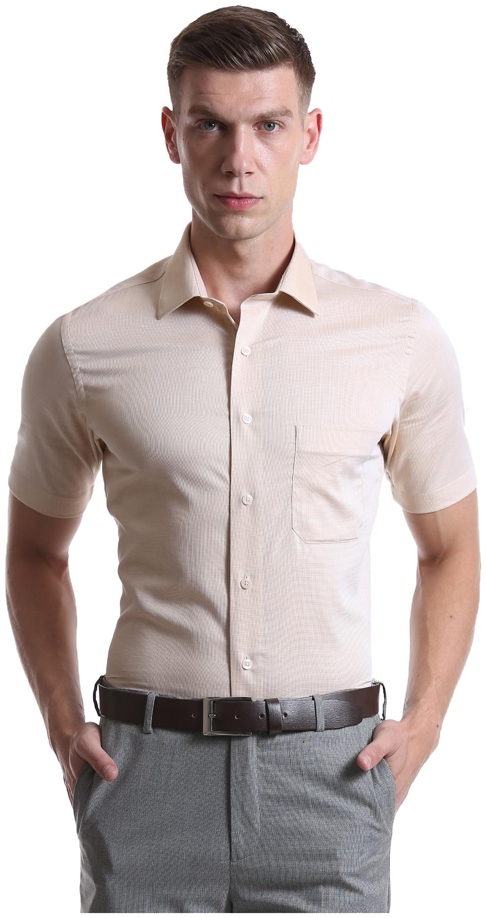 

Arrow Men Regular fit Formal Shirt - Beige
