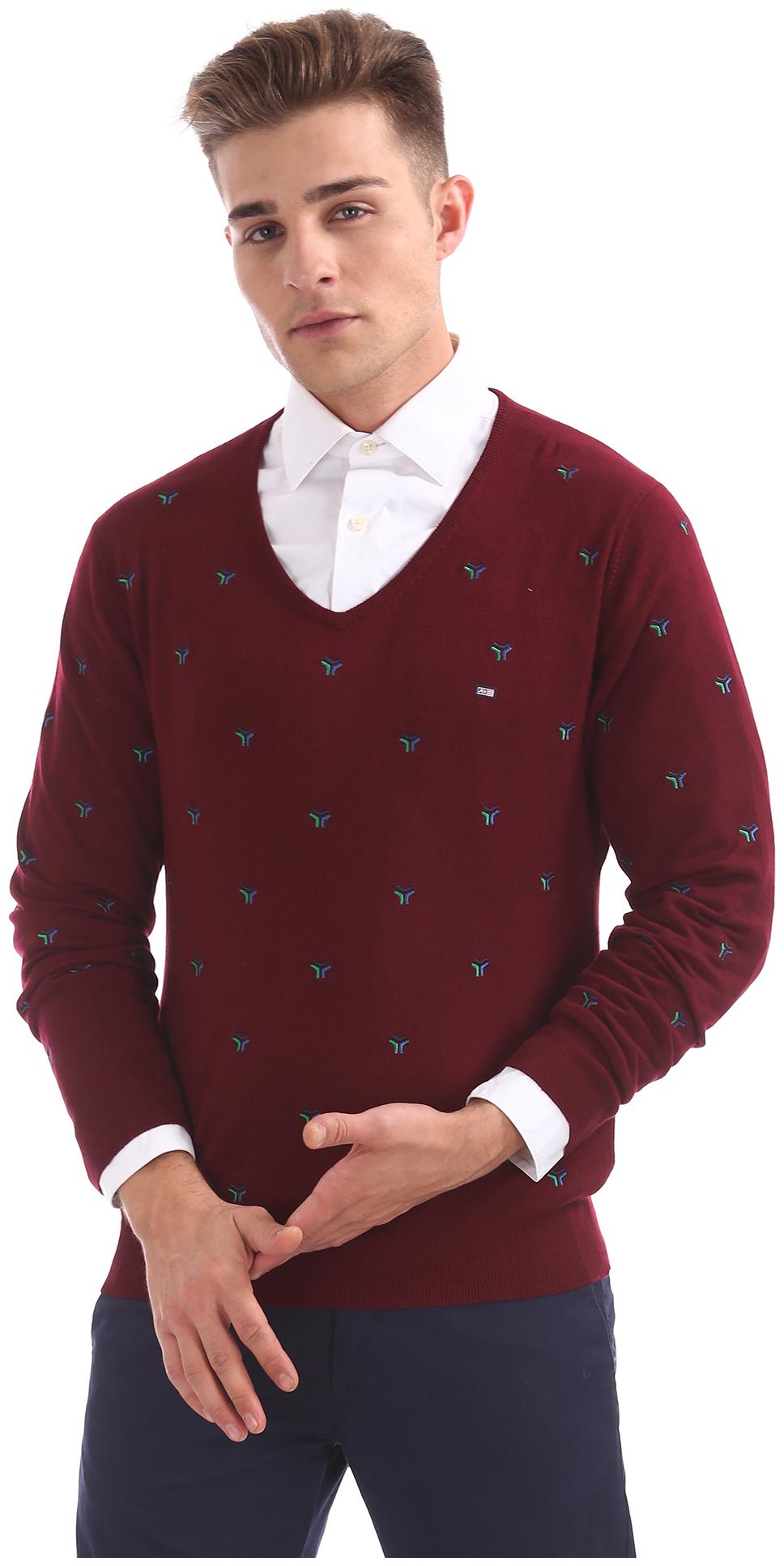 

Arrow Men Red V neck Pullover