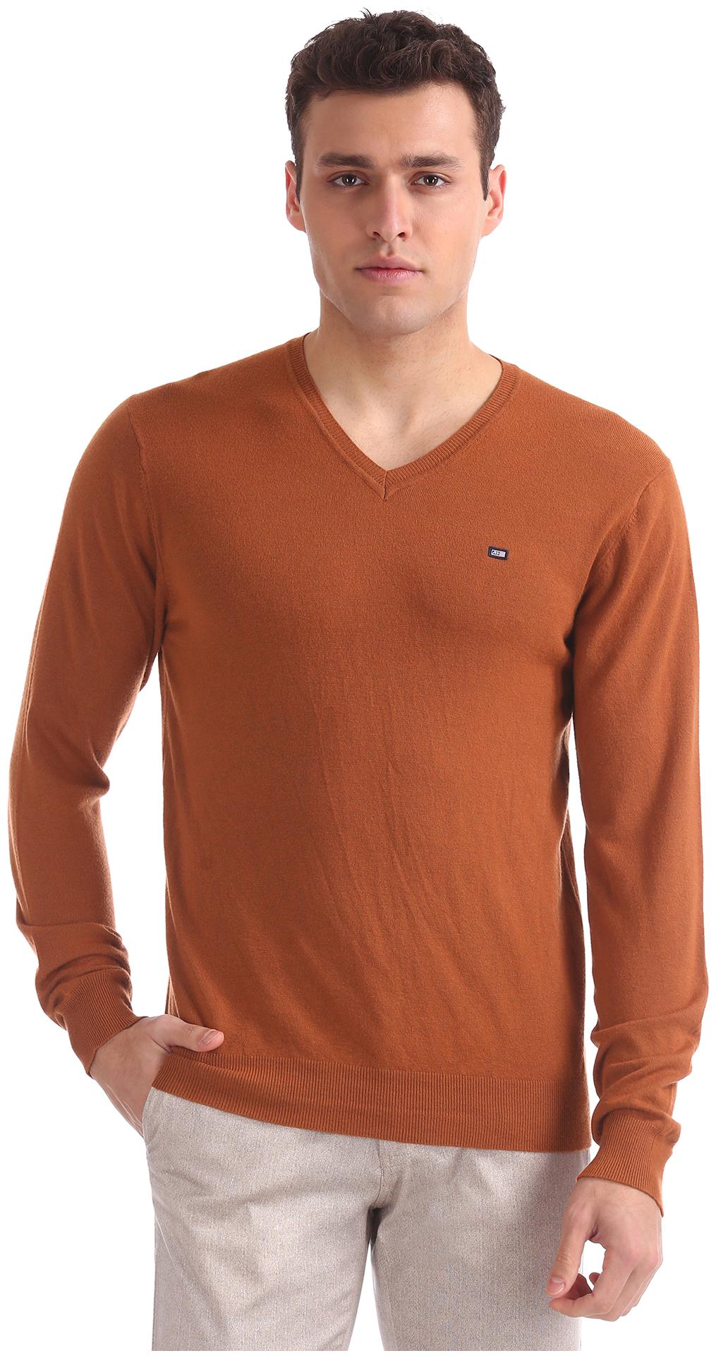 

Arrow Men Orange V neck Pullover