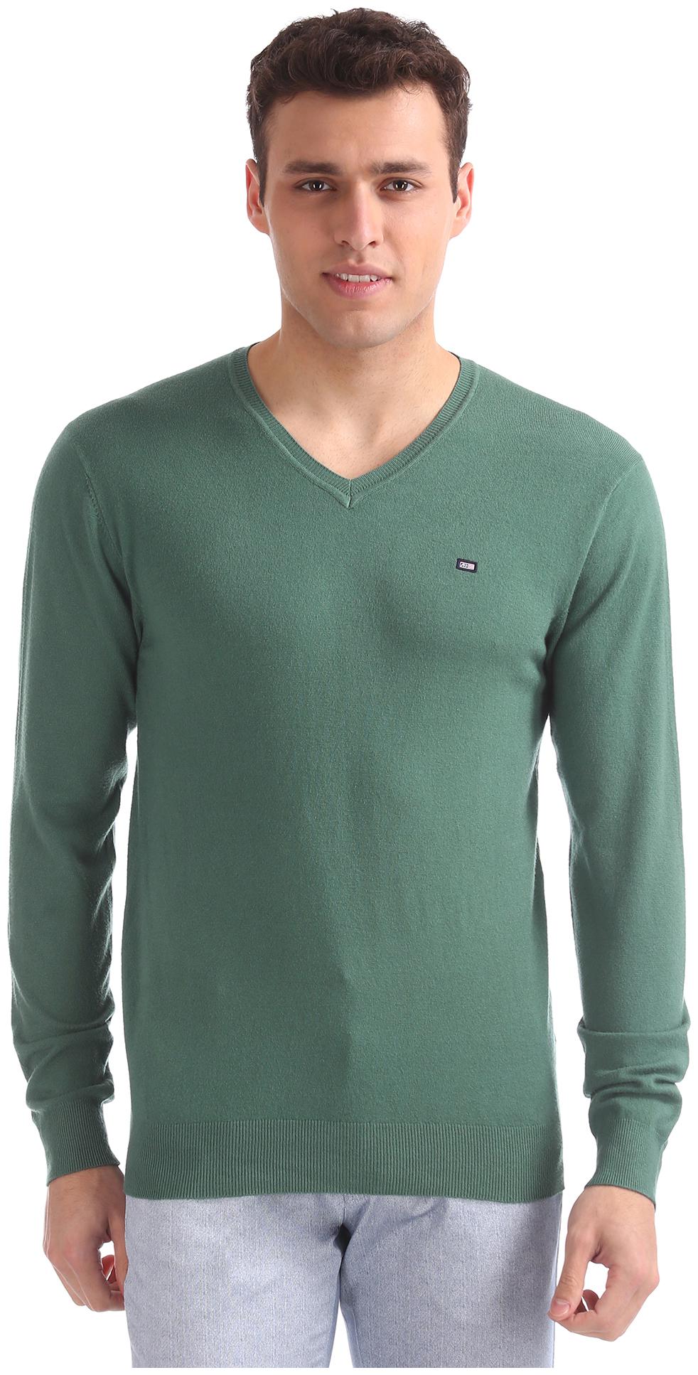 

Arrow Men Green V neck Pullover