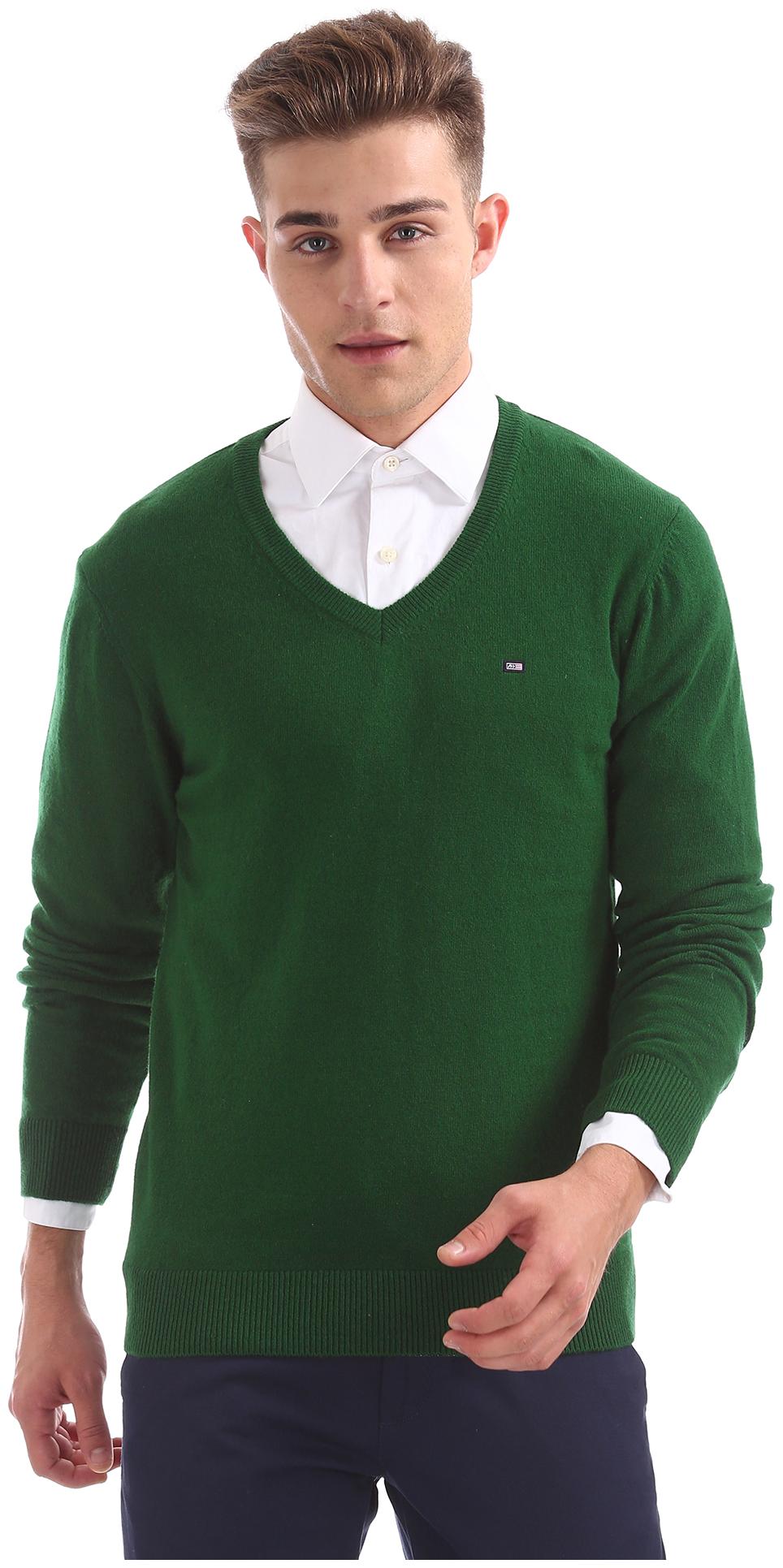 

Arrow Men Green V neck Pullover