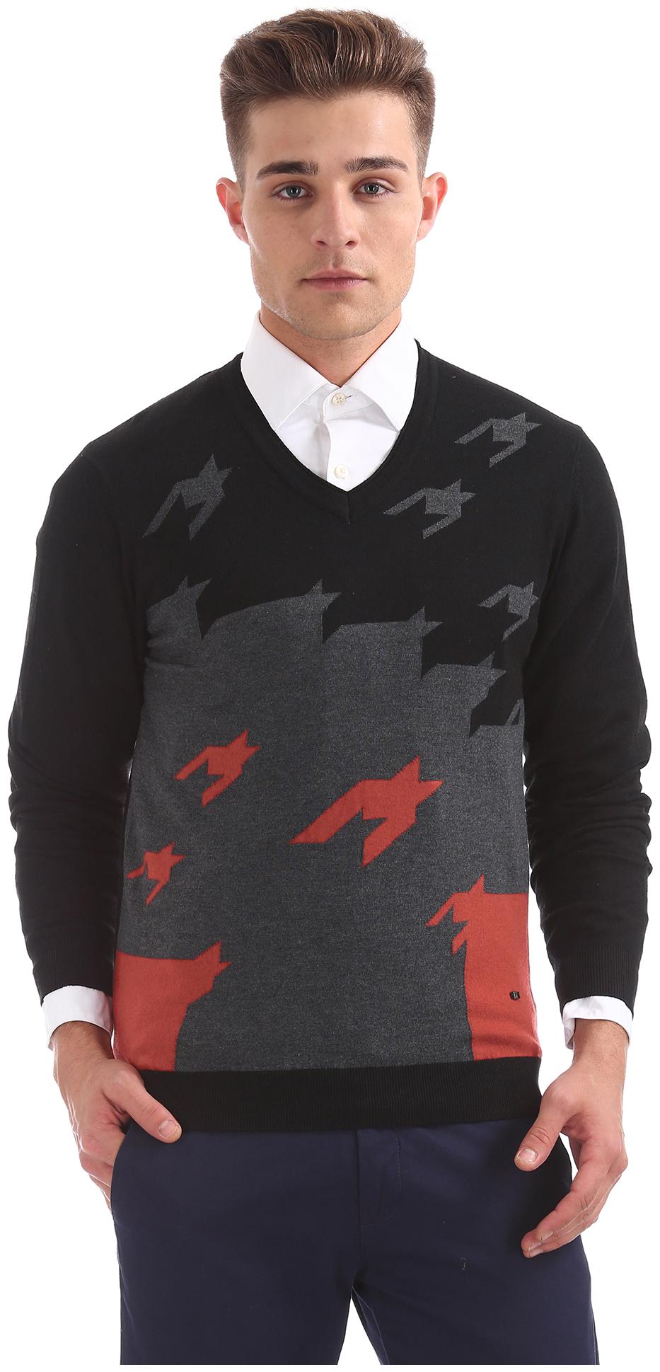 

Arrow Men Black V neck Pullover