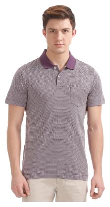 

Arrow Men Pink Regular fit Cotton Polo collar T-Shirt - Pack Of 1