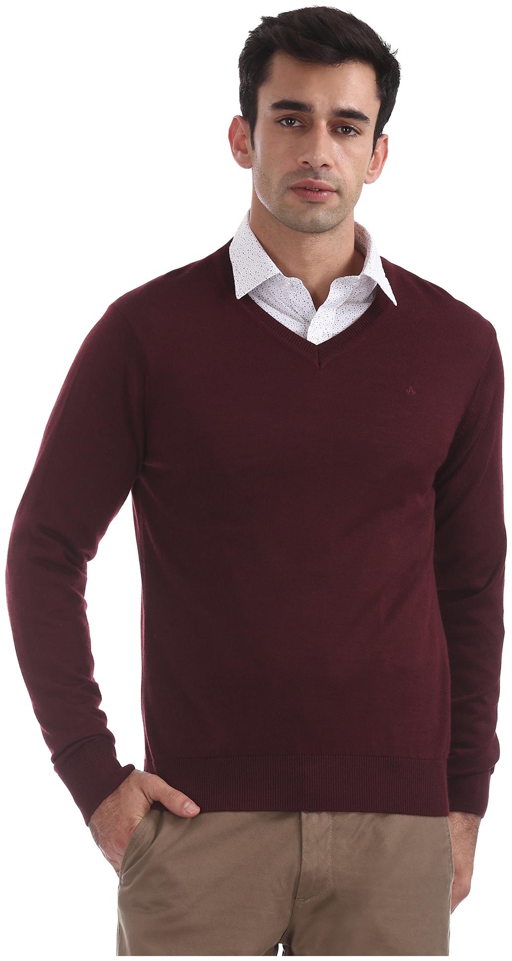 

Arrow Men Red V neck Pullover