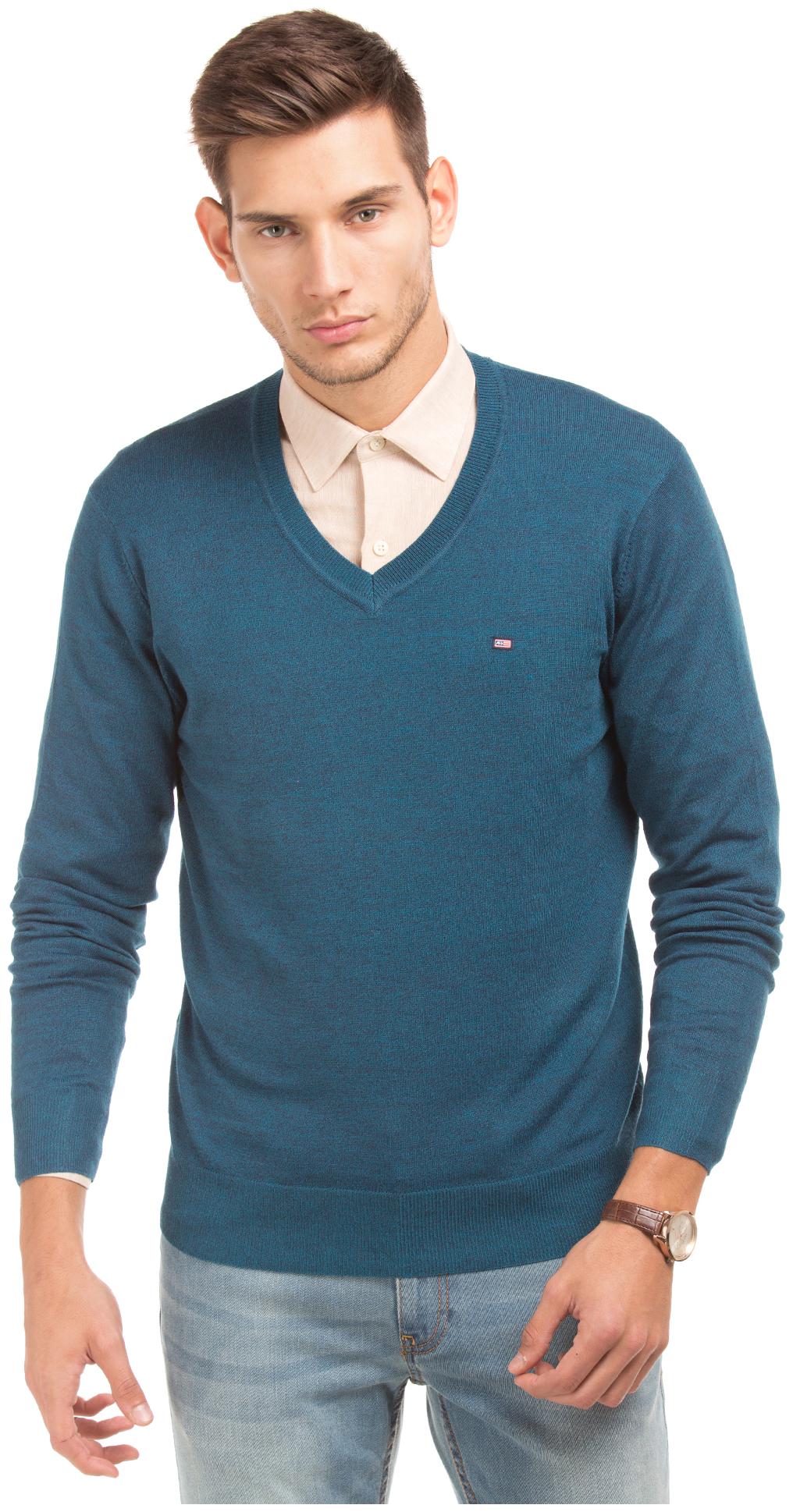 

Arrow Men Blue V neck Pullover