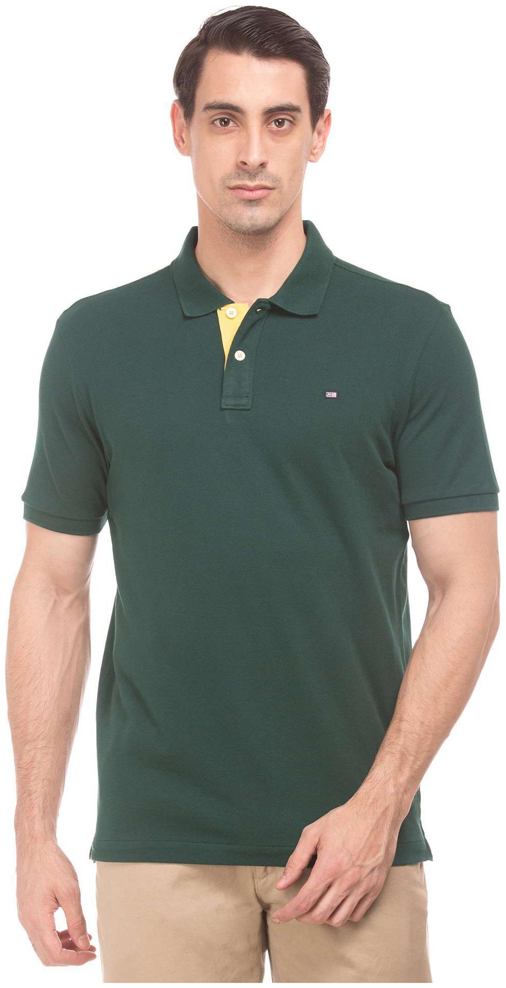 

Arrow Men Green Regular fit Cotton Polo collar T-Shirt - Pack Of 1
