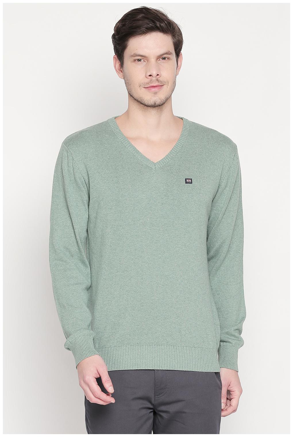 

Byford By Pantaloons Men Green V neck Pullover