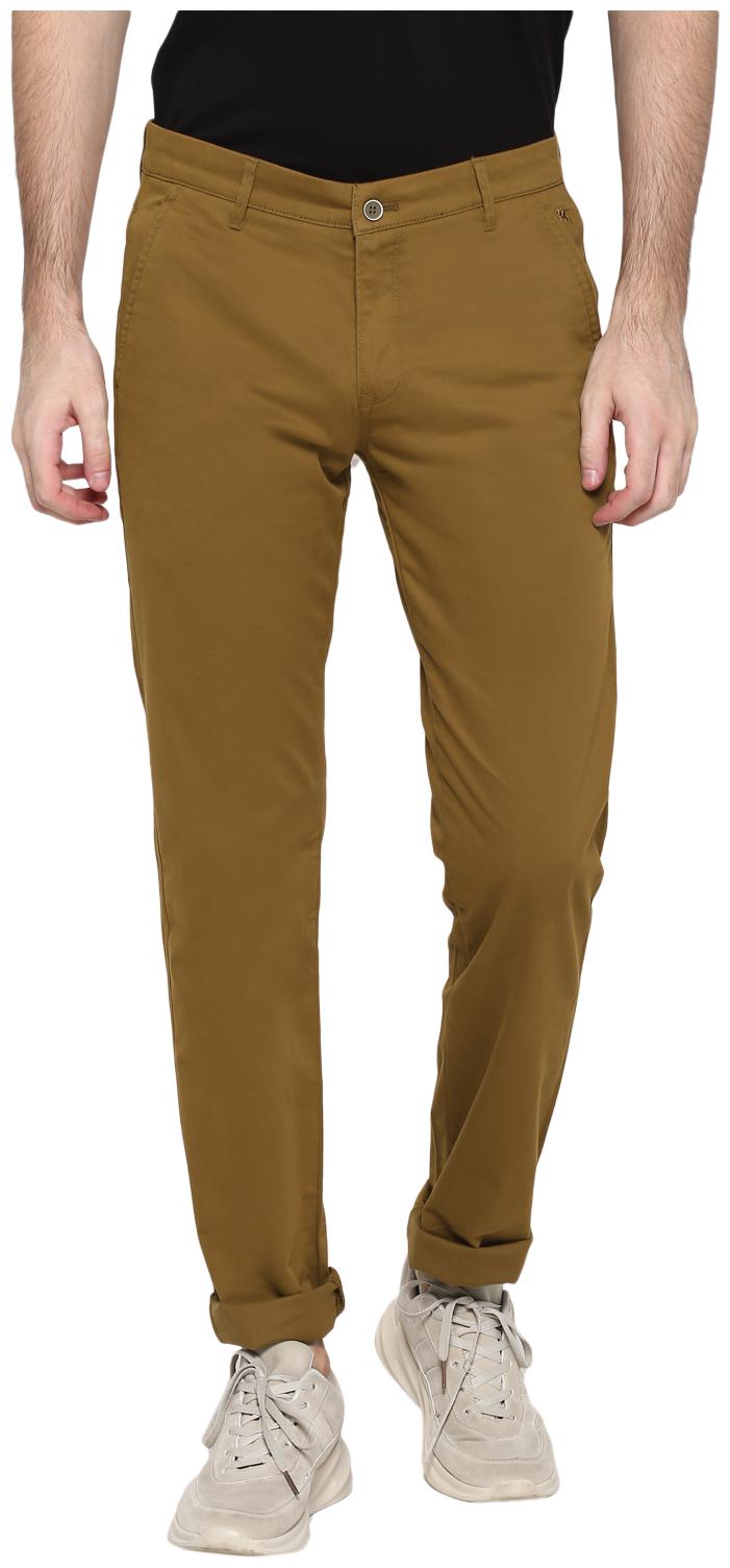 

Cantabil Men Beige Solid Regular fit Regular trousers
