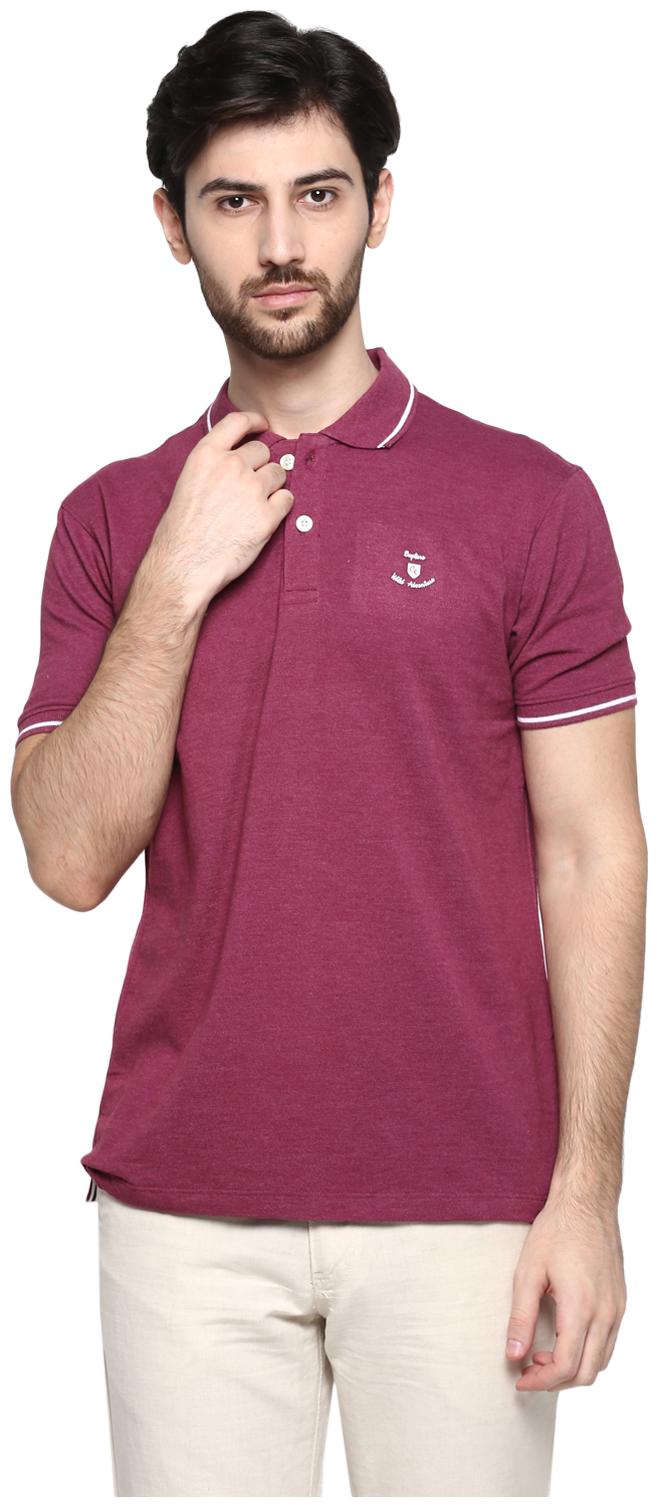 

Cantabil Men Purple Regular fit Cotton Blend Polo collar T-Shirt - Pack Of 1
