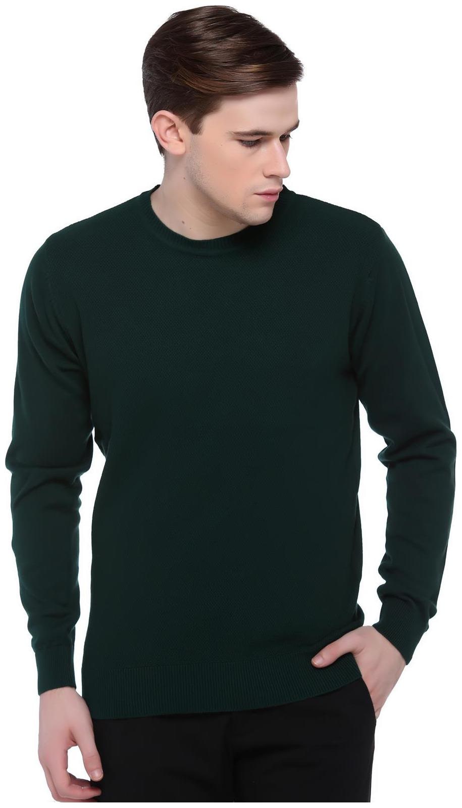 

Club York Men Green Round neck Pullover
