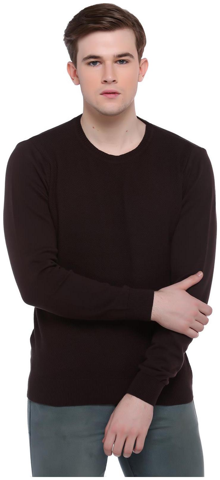 

Club York Men Brown Round neck Pullover