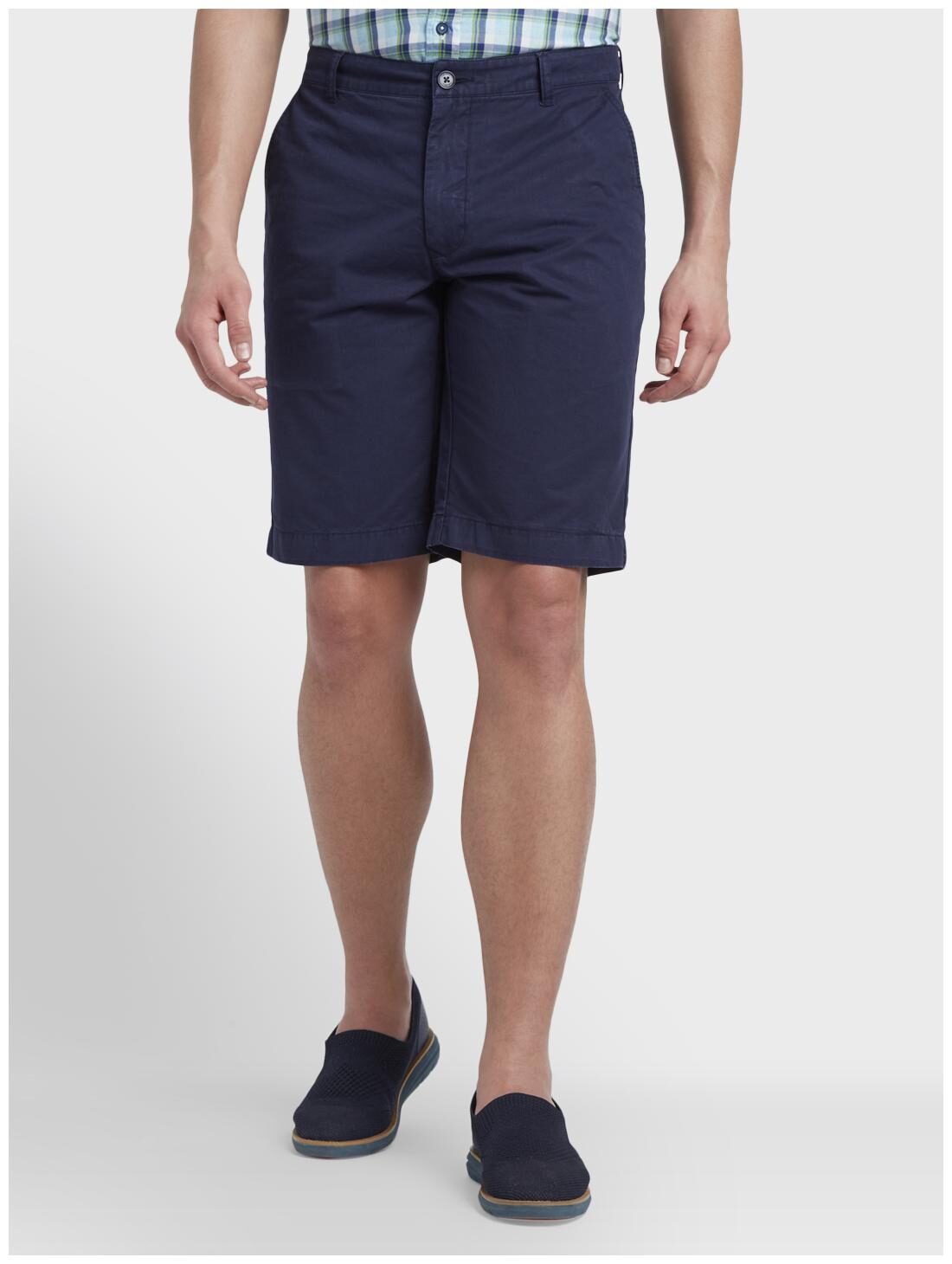 

ColorPlus Men Blue Regular Fit Regular Shorts