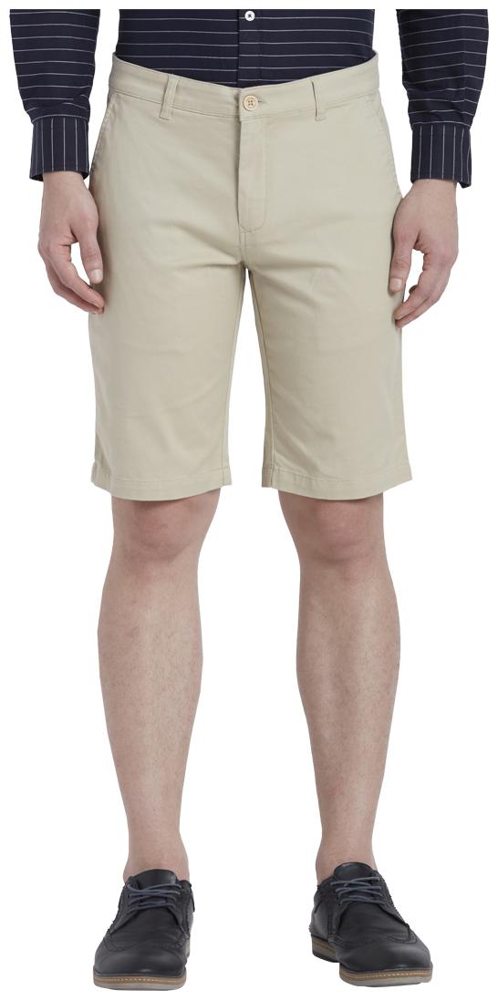 

ColorPlus Men Beige Regular Fit Regular Shorts