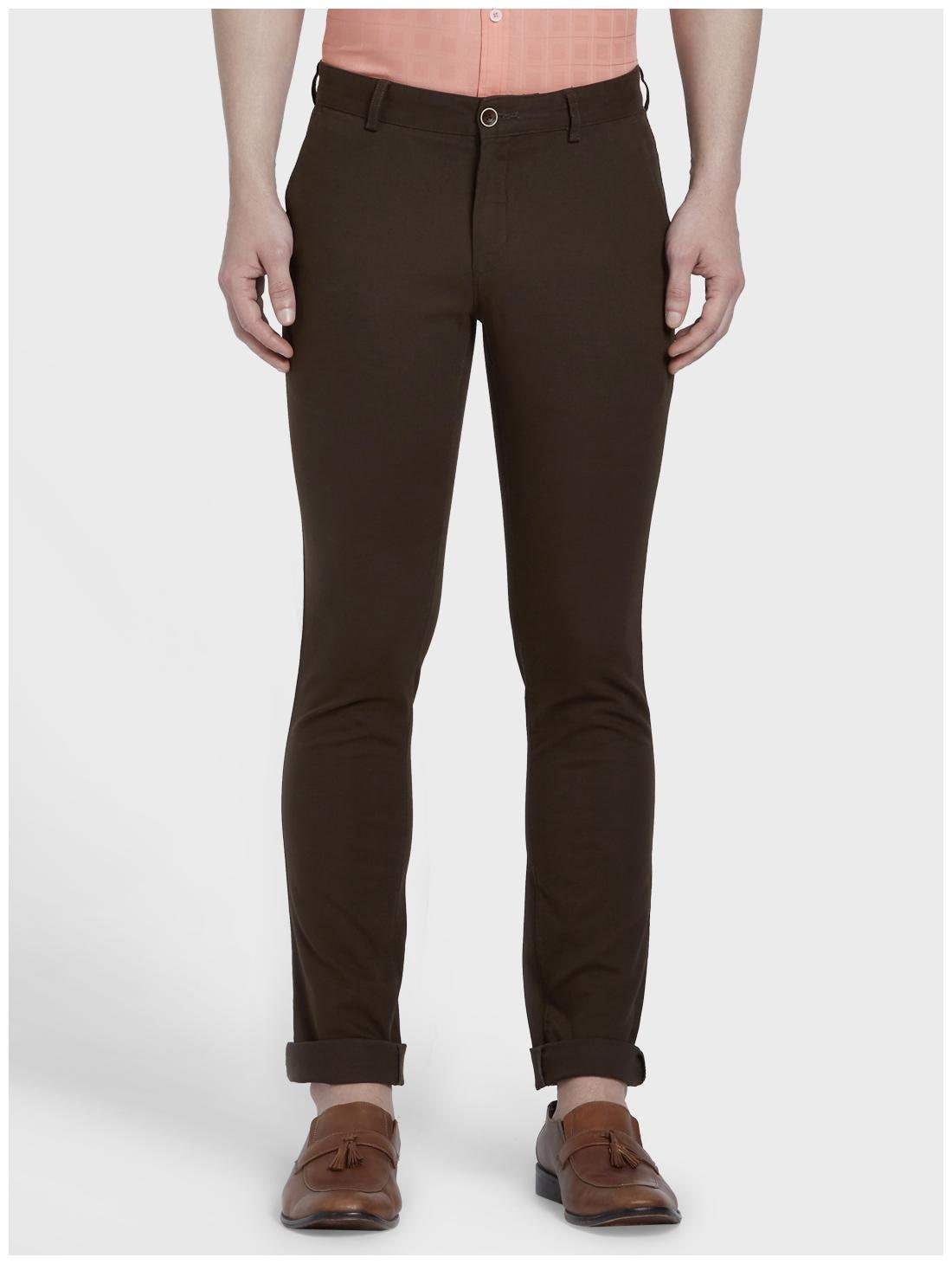 

ColorPlus Men Brown Solid Regular fit Regular trousers