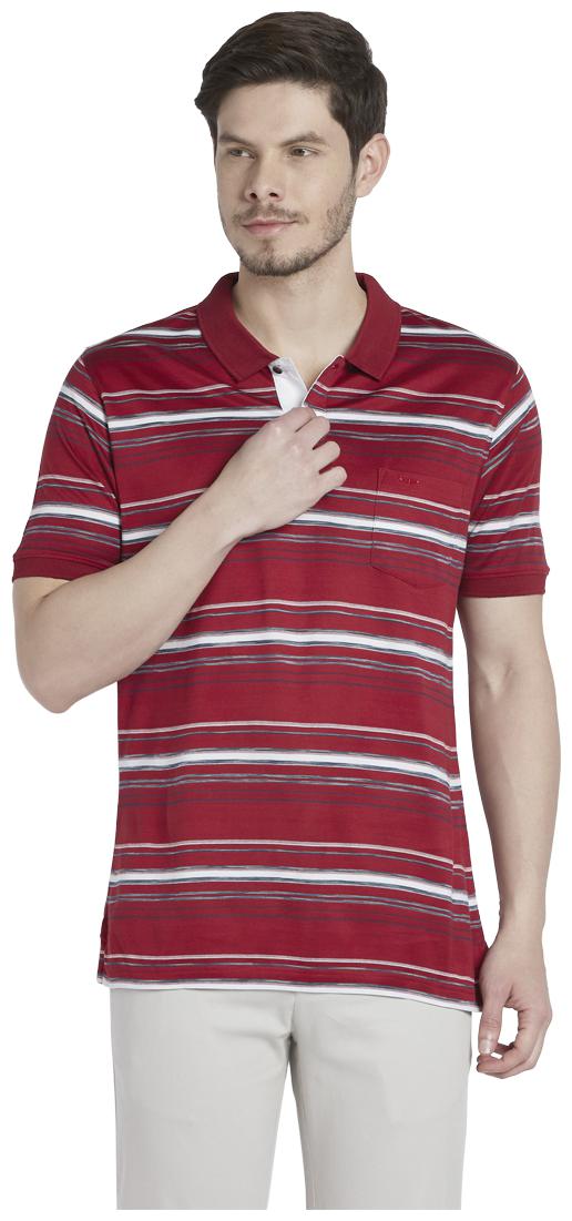 

ColorPlus Men Maroon Regular fit Cotton Polo collar T-Shirt - Pack Of 1