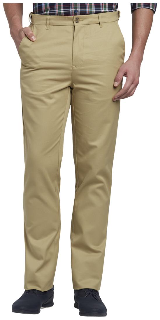 

ColorPlus Men Beige Solid Tapered fit Regular trousers
