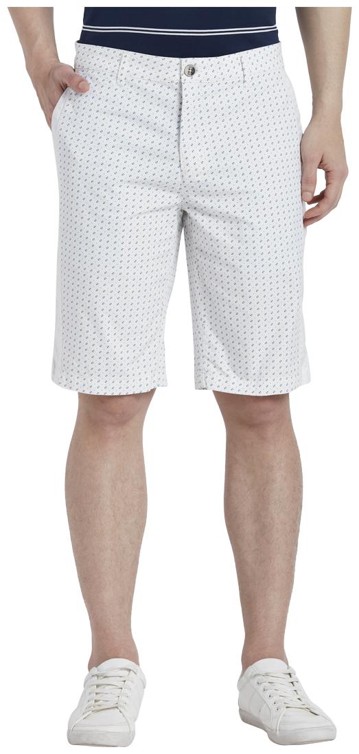 

ColorPlus Men White Regular Fit Regular Shorts
