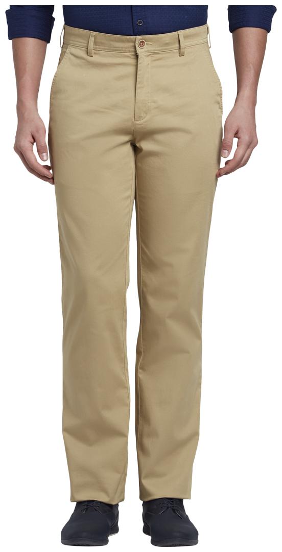 

ColorPlus Men Brown Solid Slim fit Regular trousers