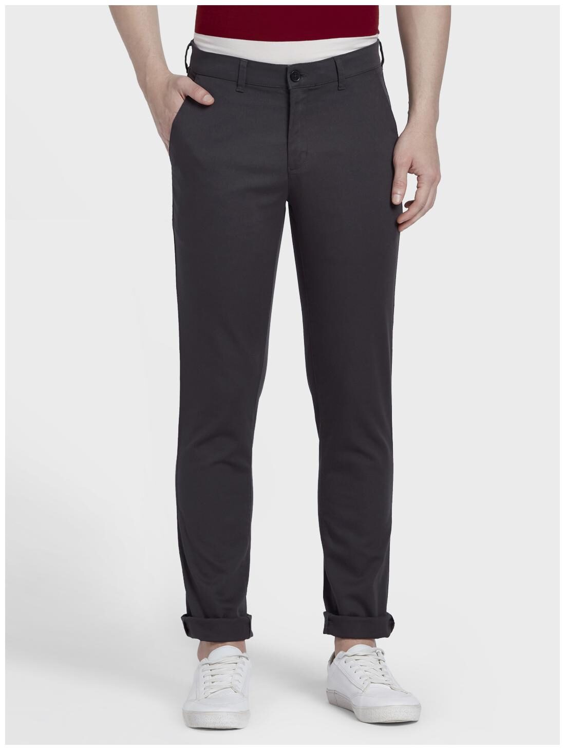 ColorPlus Men Grey Solid Regular fit Regular trousers