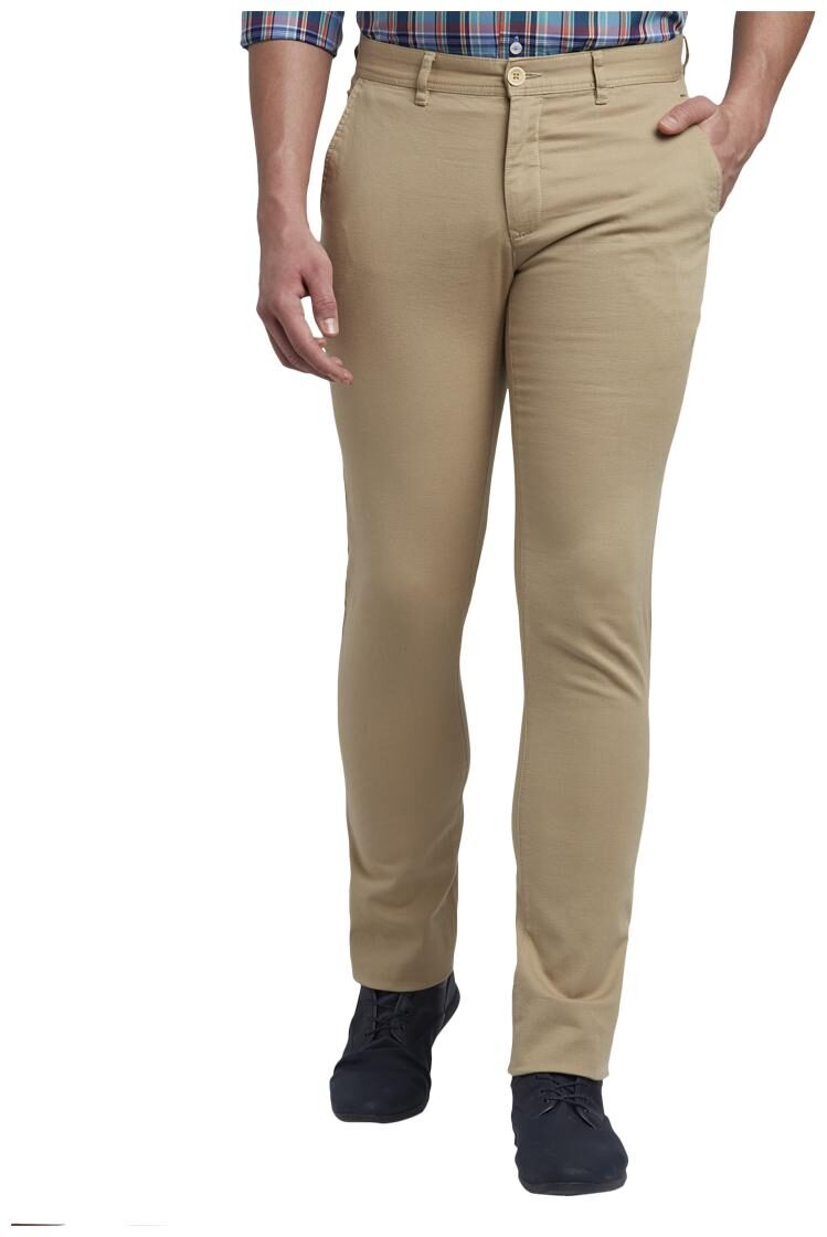 

ColorPlus Men Brown Solid Regular fit Regular trousers