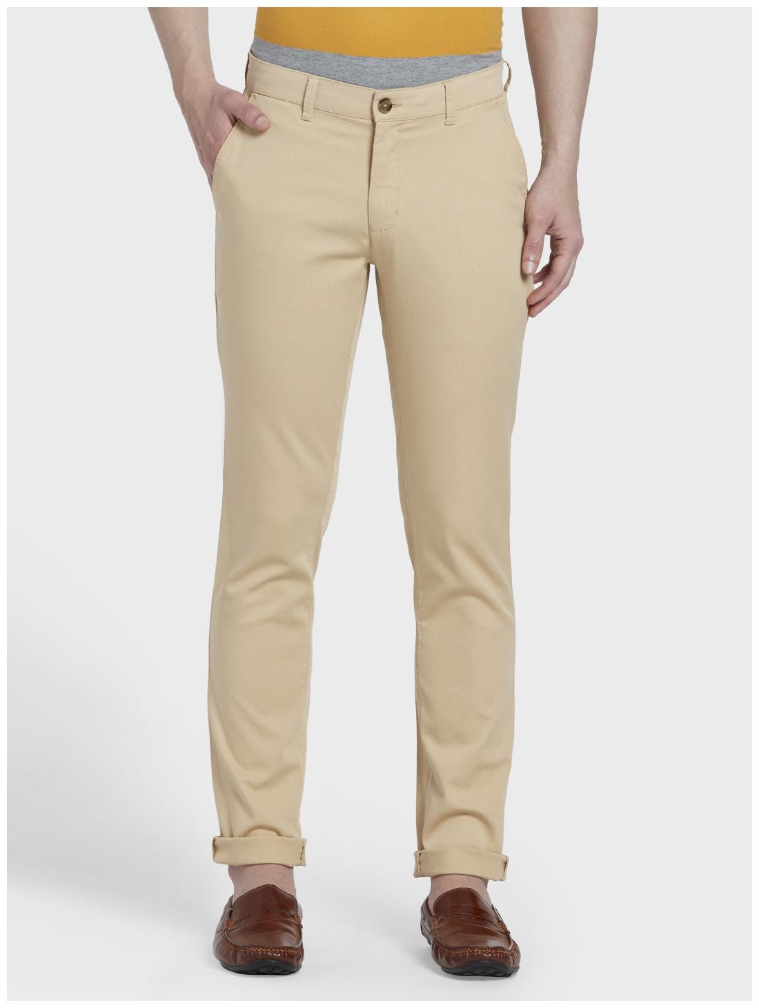 

ColorPlus Men Brown Solid Regular fit Regular trousers