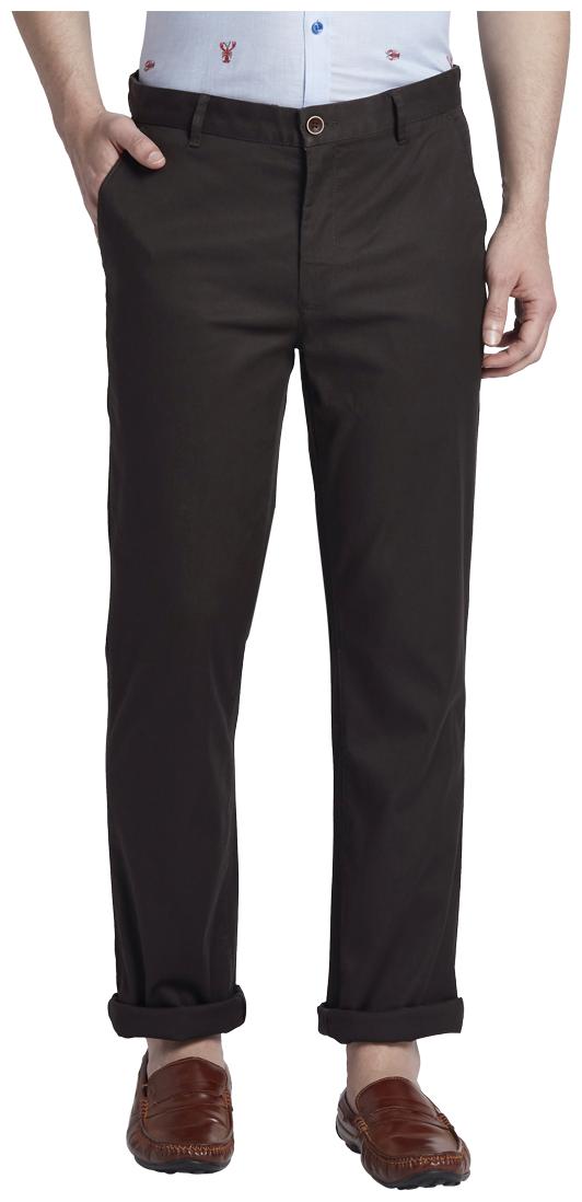 

ColorPlus Men Brown Solid Regular fit Regular trousers