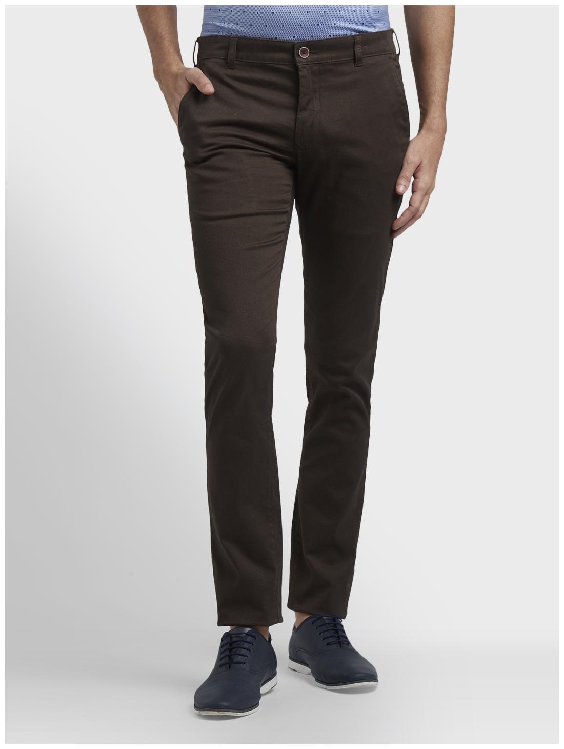 ColorPlus Men Brown Solid Regular fit Regular trousers